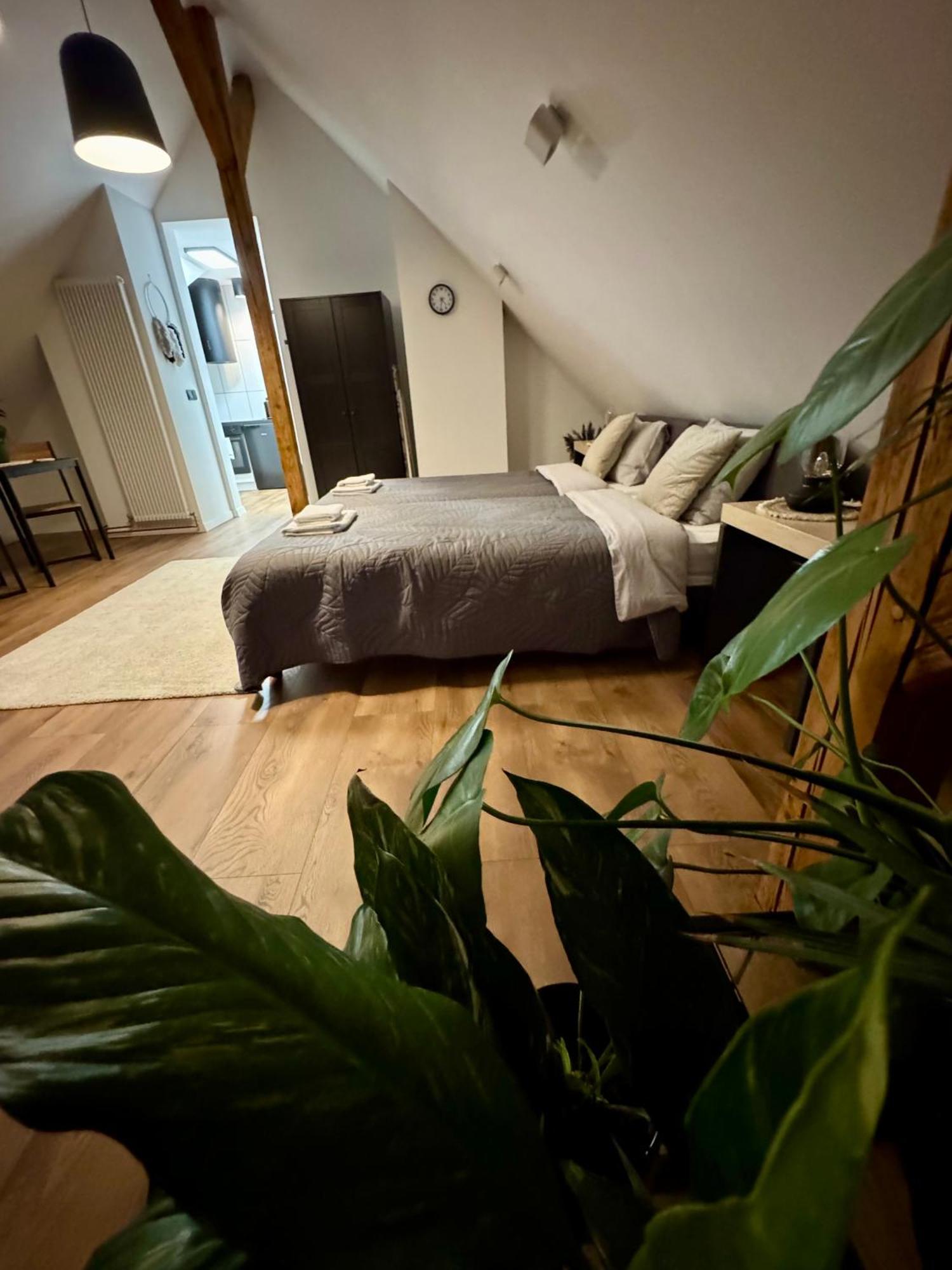Apartamenty Astor - Ksiezycowy Szczawno-Zdroj Dış mekan fotoğraf