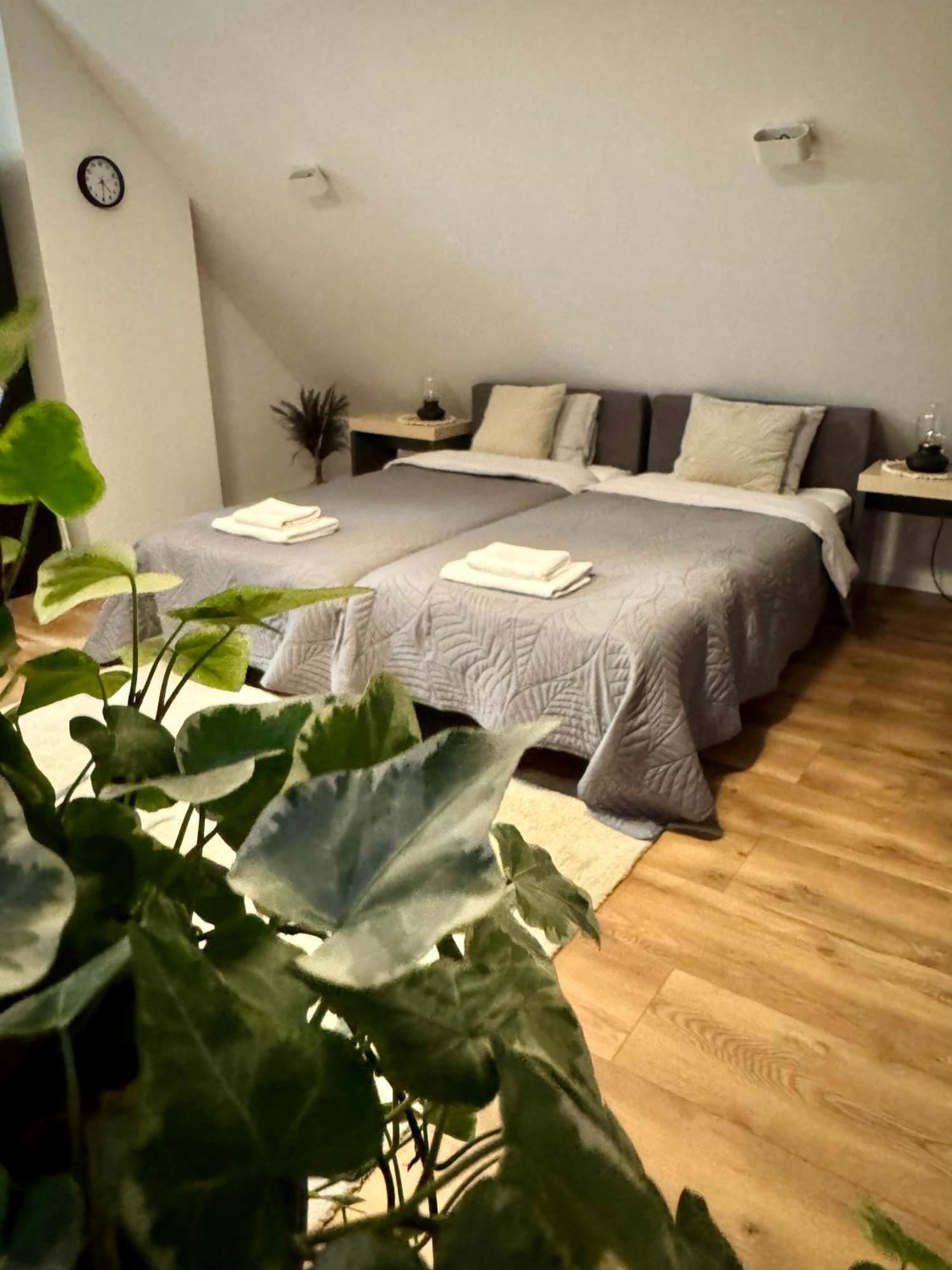 Apartamenty Astor - Ksiezycowy Szczawno-Zdroj Dış mekan fotoğraf